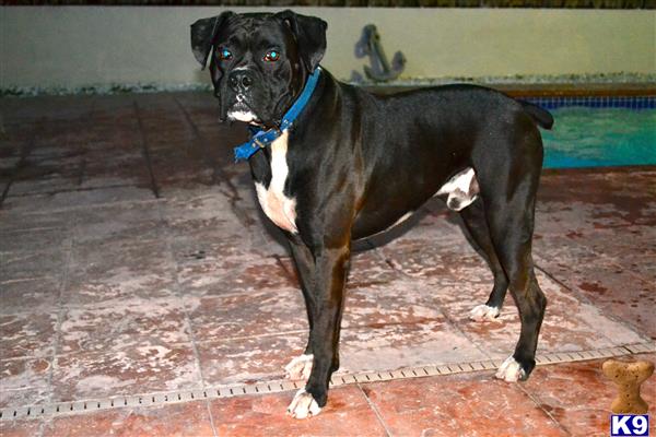 anialvarez Picture 2